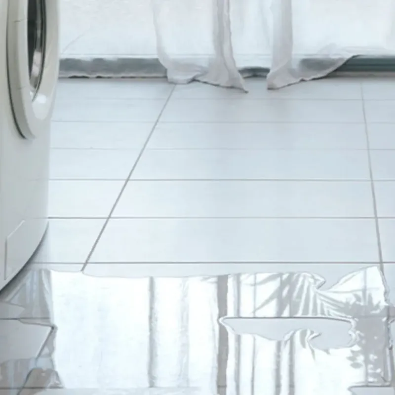Appliance Leak Cleanup in Laughlin, NV
